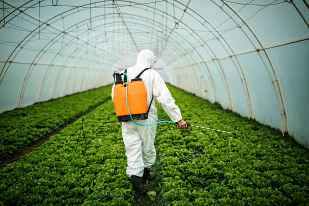 Pest Control Cost in Wilder, KY